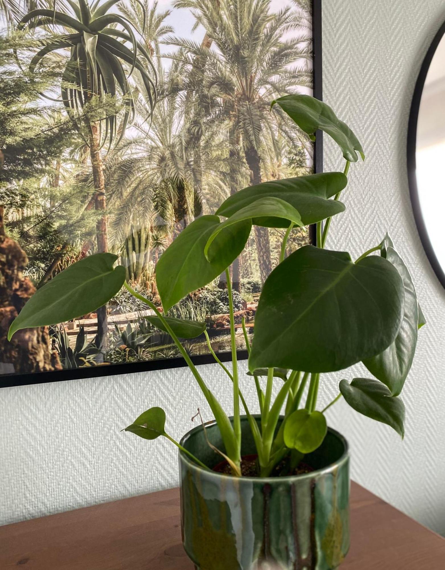 Cosy Apartment In La Defense 库尔布瓦 外观 照片